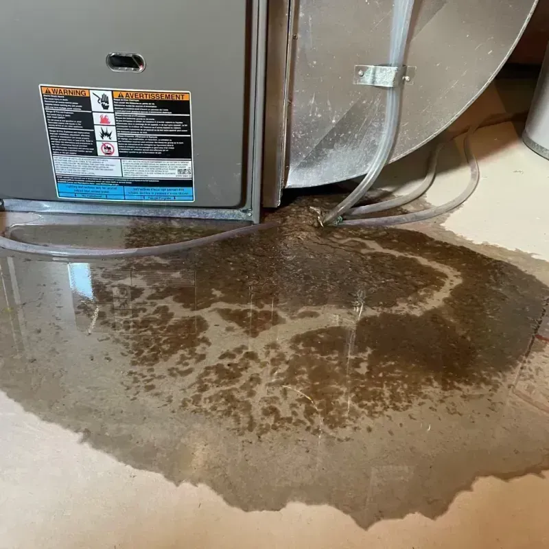 Appliance Leak Cleanup in West Peoria, IL